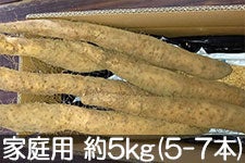 ֐_ Ȃ ƒp 5kg(5-7{) 121ȍ~yMB̊ɂ₳_YF؁E݂ǂ̐HVXe@zF_