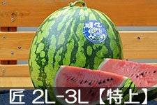 쌴t@[ gcYXCJ MB̏ 2L-3L(7-9kg)yz 715ȍ~