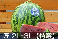 쌴t@[ gcYXCJ MB̏ 2L-3L(7-9kg)yIz 715ȍ~
