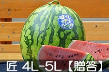 쌴t@[ gcYXCJ MB̏ 4L-5L(9kgȏ)yz