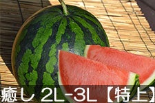 쌴t@[ gcYXCJ MB̖ 2L-3L(7-9kg)yz 715ȍ~