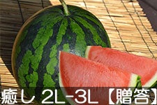 쌴t@[ gcYXCJ MB̖ 2L-3L(7-9kg)yz 715ȍ~