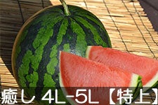 쌴t@[ gcYXCJ MB̖ 4L-5L(9kgȏ)yz