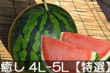 쌴t@[ gcYXCJ MB̖ 4L-5L(9kgȏ)yIz