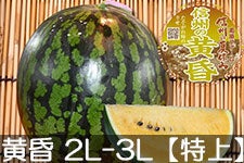 쌴t@[ gcYXCJ MB̉(Fc) 2L-3L(7-9kg)yz 715ȍ~