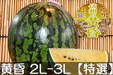 쌴t@[ gcYXCJ MB̉(Fc) 2L-3L(7-9kg)yIz 715ȍ~