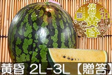 쌴t@[ gcYXCJ MB̉(Fc) 2L-3L(7-9kg)yz 715ȍ~