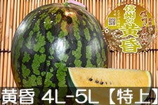 쌴t@[ gcYXCJ MB̉(Fc) 4L-5L(9kgȏ)yz