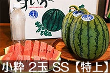 쌴t@[ gcYXCJ MB̏ 2 SS(2kgȉ)yz 720ȍ~