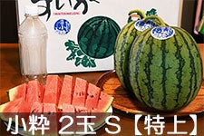 쌴t@[ gcYXCJ MB̏ 2 S(2kgȏ)yz 720ȍ~