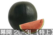 쌴t@[ gcYXCJ MB̖J(smE_fB) 2L-3L(7-9kg)yz720ȍ~