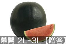쌴t@[ gcYXCJ MB̖J(smE_fB) 2L-3L(7-9kg)yz720ȍ~