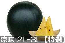 쌴t@[ gcYXCJ MB̗ 2L-3L(7-9kg)yIz720ȍ~