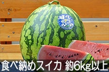 쌴t@[ gcYHה[߃XCJ 6kgȏ