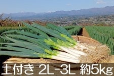 MB₳̋C ̋ɊÃlM yt 2L-3L 5kg(18-22{) 1020ȍ~