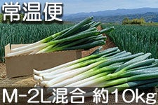 MB₳̋C ̋ɊÔlM M-2L 10kgyƖpE퉷ցz 1020ȍ~
