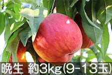 aʎ ӐbT[ 3kg(9-13) 85ȍ~