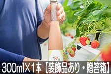 ���Ă������_�� �C�`�S�̊Î��u䕕P ���C�v �M�t�g�p 300ml×1�{�y�����i����E���ϔ��z