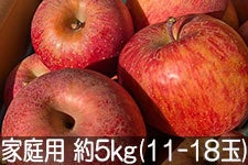 ���}�z�_�� �T���ӂ� �ƒ�p ��5kg(11-18��)