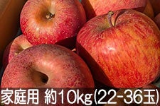 }z_ Tӂ ƒp 10kg(22-36)