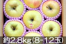 信州みのり農園 ぐんま名月 約2.8kg(8-12玉) 11月20日以降発送
