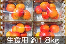 MB݂̂_ Hp񂸃n[Rbg 1.8kg(450g×4pbN) 620-630