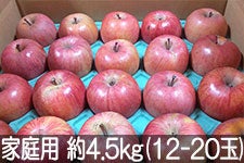 �M�B�݂̂�_�� �T���ӂ� �ƒ�p ��4.5kg(12-20��)