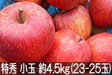 信州みのり農園 サンふじ 特秀 小玉 約4.5kg(20-25玉)