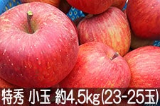 信州みのり農園 サンふじ 特秀 小玉 約4.5kg(23-25玉)