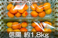 MB݂̂_ Hp񂸐Mz 1.8kg 620ȍ~