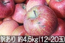 MB݂̂_ Tӂ 󂠂 4.5kg(12-20)