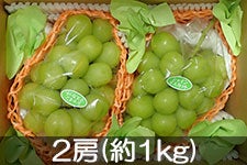 MB݂̂_ VC}XJbg 2[(1kg) 915ȍ~