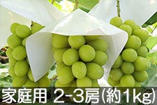 MB݂̂_ VC}XJbg ƒp 2-3[(1kg) 915ȍ~