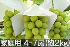 MB݂̂_ VC}XJbg ƒp 4-7[(2kg) 915ȍ~