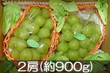 MB݂̂_ VC}XJbg 2[(900g) 915ȍ~