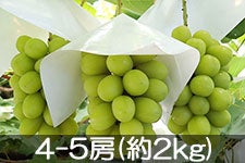 MB݂̂_ VC}XJbg 4-5[(2kg) 915ȍ~