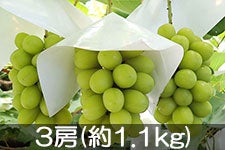 MB݂̂_ VC}XJbg 3[(1.1kg)