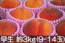 MB݂̂_ bT[ 3kg(9-14) 728-812