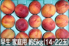 MB݂̂_ bT[ ƒp 5kg(14-22) 728-812