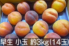 MB݂̂_ bT[  3kg(14) 81-12