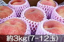 MB݂̂_ ɒB 3kg(7-12) 95ȍ~
