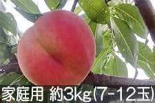 MB݂̂_ ɒB ƒp 3kg(7-12) 95ȍ~