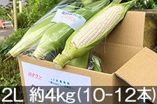 k_ k̂Ƃ낱 ̗d 2L 4kg(10-12{) 91-30