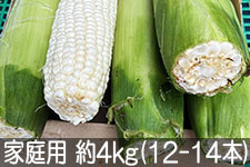 とうもろこし|クール冷蔵便|【JAタウン】産地直送 通販 お取り寄せ