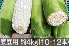 k_ k̂Ƃ낱 P ƒp 4kg(10-12{) 925ȍ~