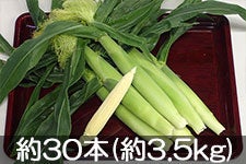 k_ k̃OR[ ̗d 30{(3.5kg) 610ȍ~