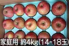 ����_�� �T���ӂ� �ƒ�p ��4kg(14-18��) 1��8���ȍ~����