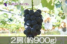 Gkt@[ sI[l 2[(900g)yz