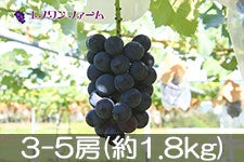 Gkt@[ sI[l 3-5[(1.8kg)yz