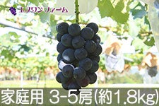 Gkt@[ sI[l ƒp 3-5[(1.8kg)